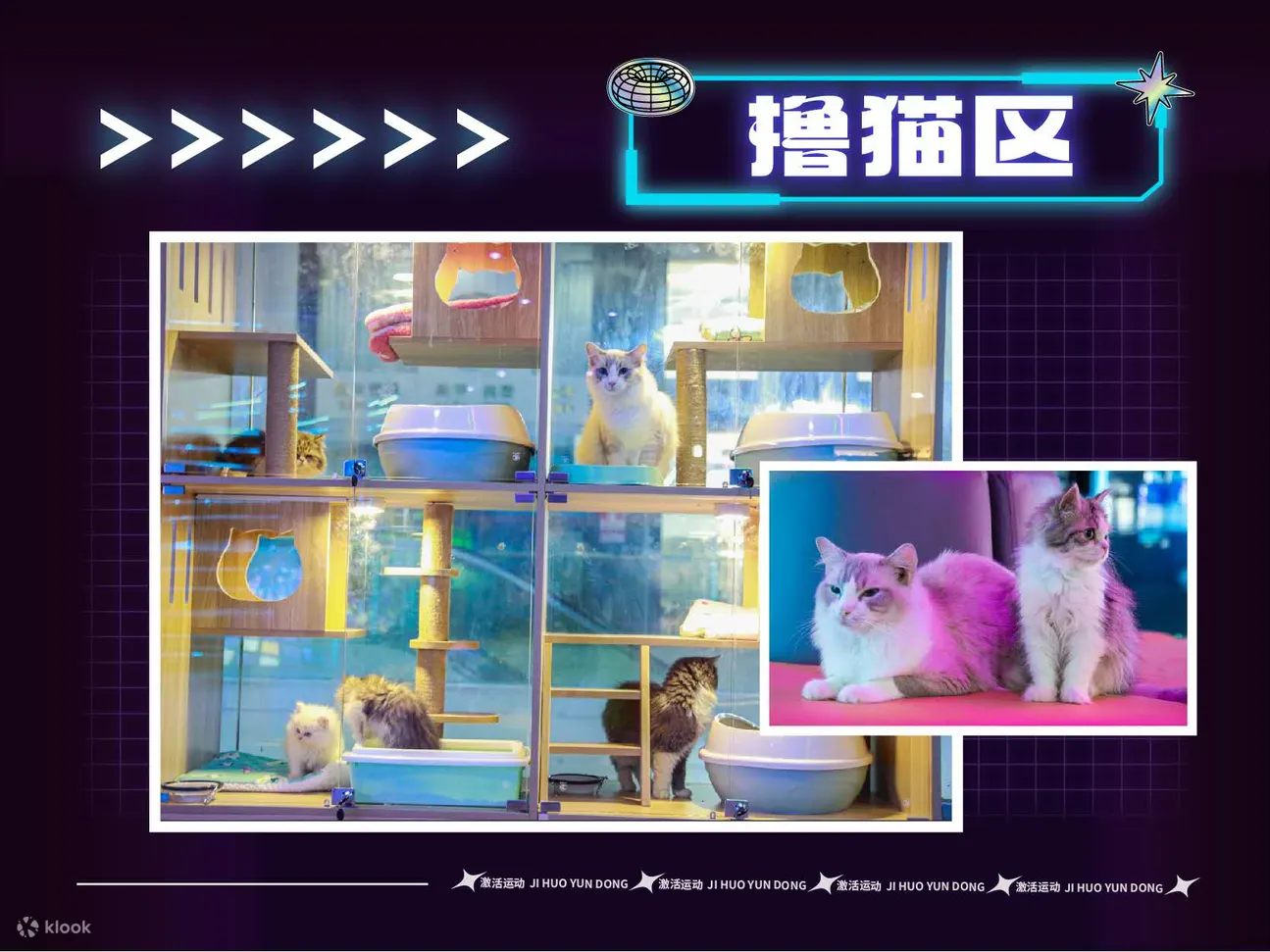 激活运动游戏馆 | 海岸城店